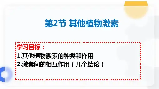 其他植物激素课件-高二生物人教版(2019)选择性必修1