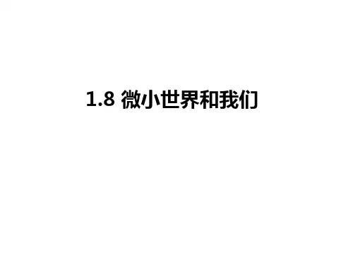 科学课件《微小世界和我们》精品PPT课件11