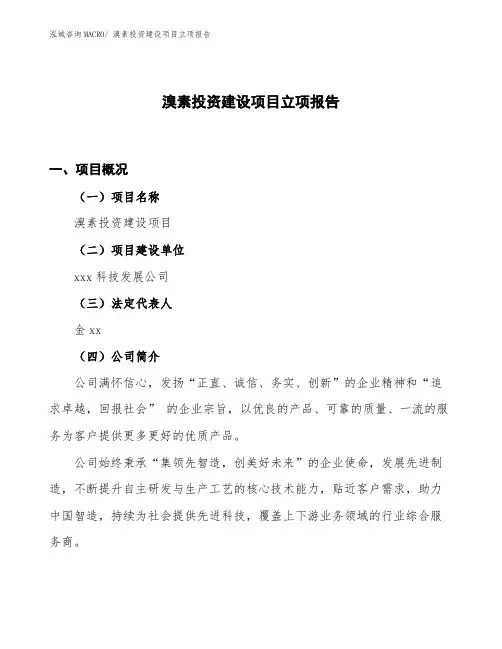 溴素投资建设项目立项报告
