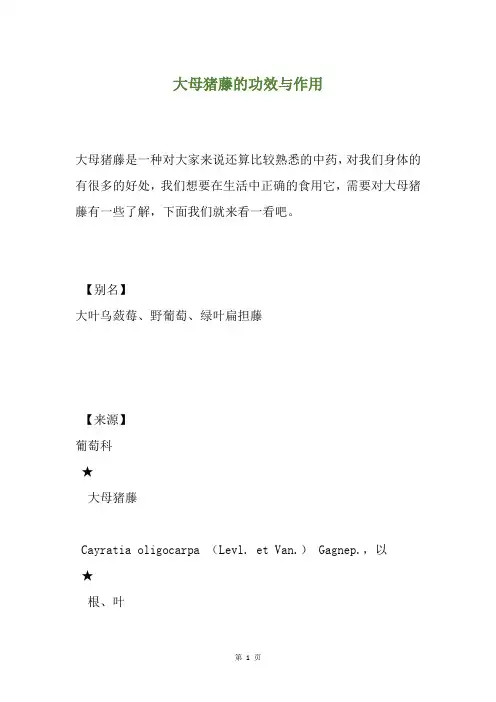 大母猪藤的功效与作用