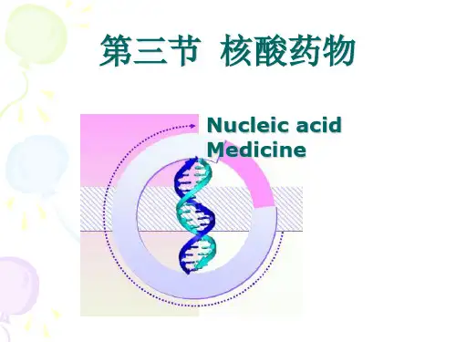 13(2)核酸、酶类药物