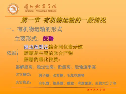 第五章 有机物的运输与分配