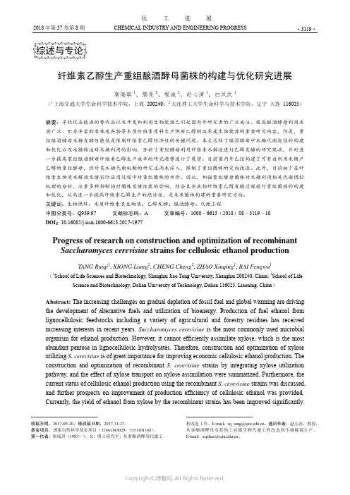 纤维素乙醇生产重组酿酒酵母菌株的构建与优化研究进展
