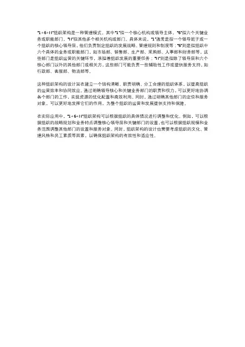 1+6+n”组织架构
