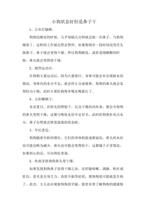 小狗状态好但是鼻子干