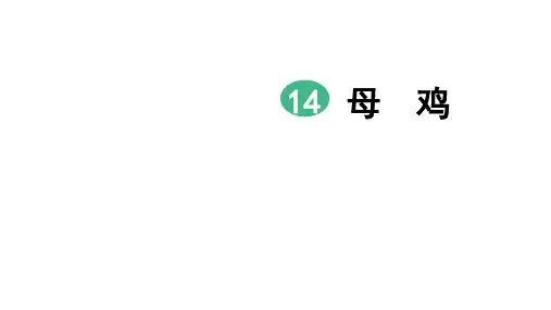 四年级下册语文课件-第14课母鸡 第1课时  人教部编版(共13张PPT)