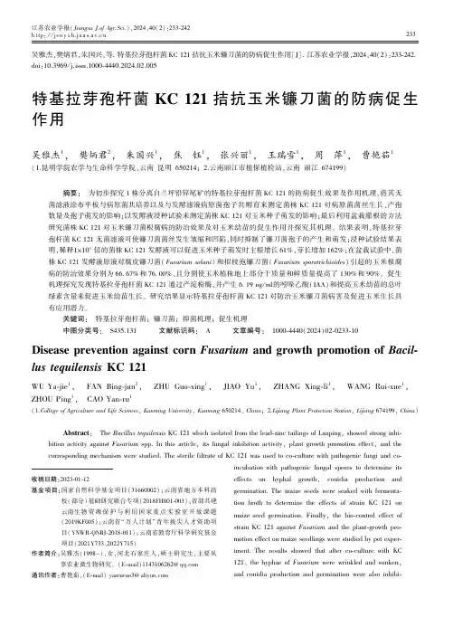 特基拉芽孢杆菌KC_121_拮抗玉米镰刀菌的防病促生作用