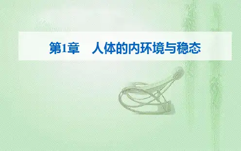 高中生物新人教版选择性必修1第1章第1节细胞生活的环境课件(43张)