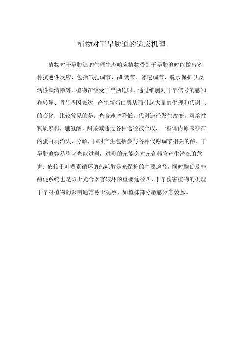 植物对干旱胁迫的适应机理