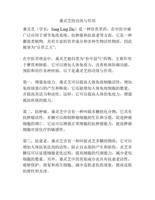 桑灵芝的功效与作用