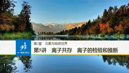 高中化学【离子共存 离子的检验和推断】优质课件