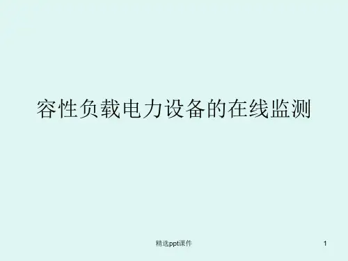容性负载电力设备的在线监测