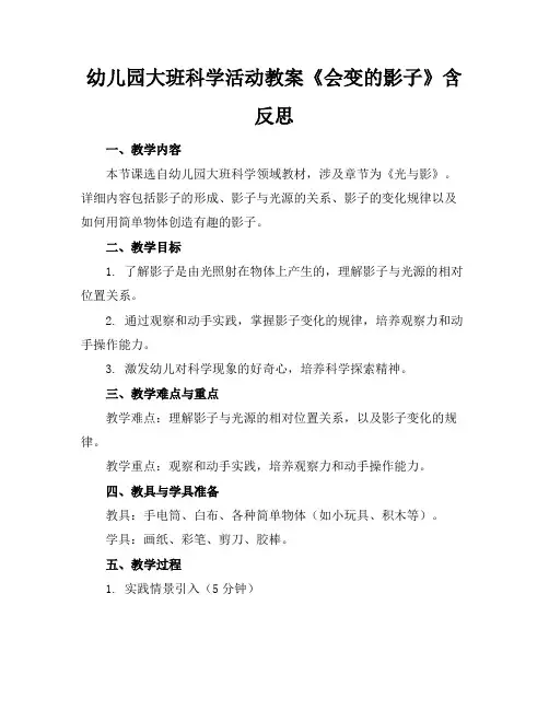 幼儿园大班科学活动教案《会变的影子》含反思