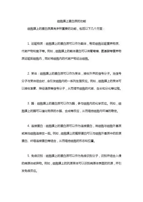 细胞膜上蛋白质的功能