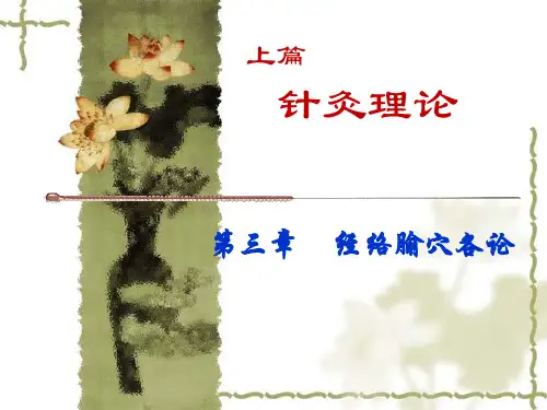 -三焦心包肝胆