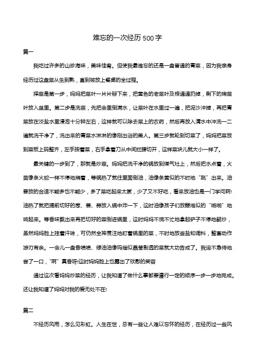 难忘的一次经历500字