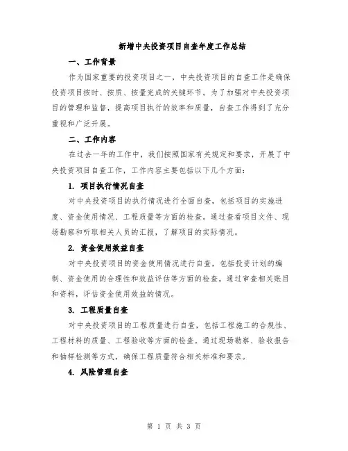 新增中央投资项目自查年度工作总结