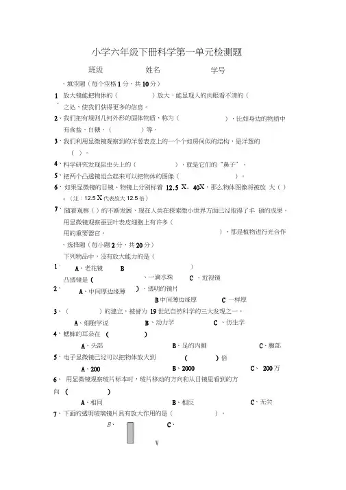 (完整版)教科版小学科学六年级下册第一单元练习题