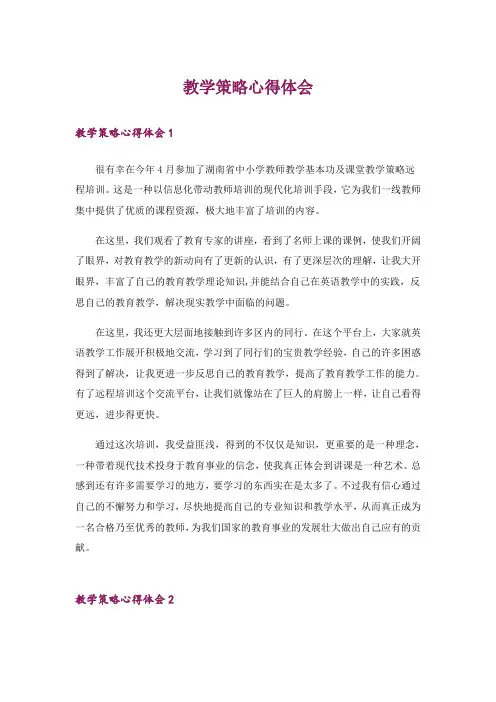 教学策略心得体会