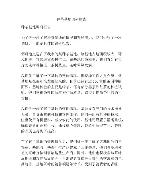 种茶基地调研报告