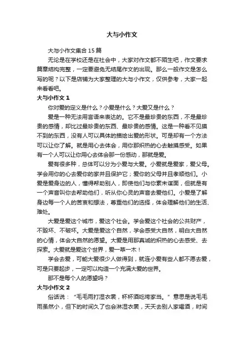 大与小作文