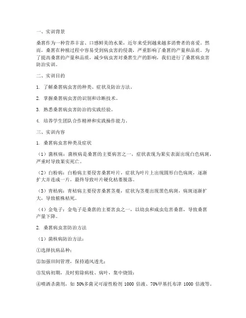 桑葚病虫害防治实训报告
