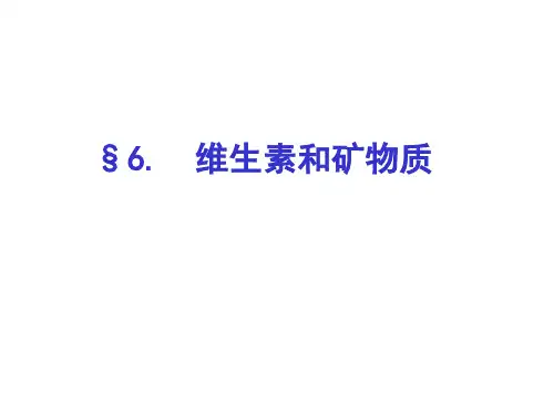 维生素和矿物质