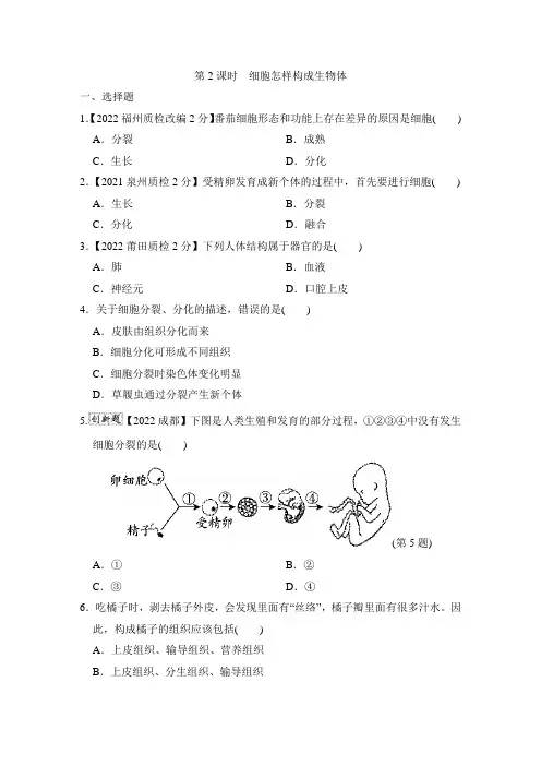 2-2 细胞怎样构成生物体 练习卷(含答案)