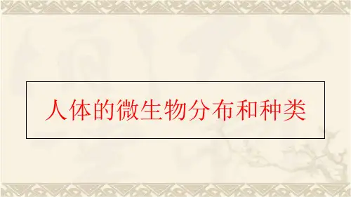 【精品】人体的微生物分布和种类PPT课件