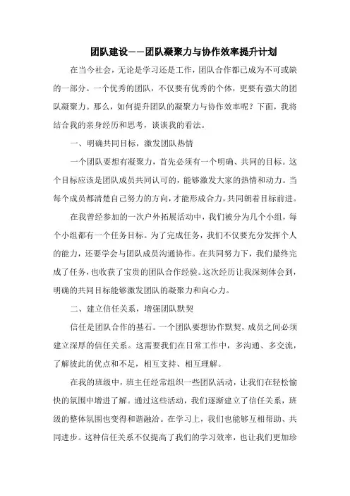 团队建设——团队凝聚力与协作效率提升计划