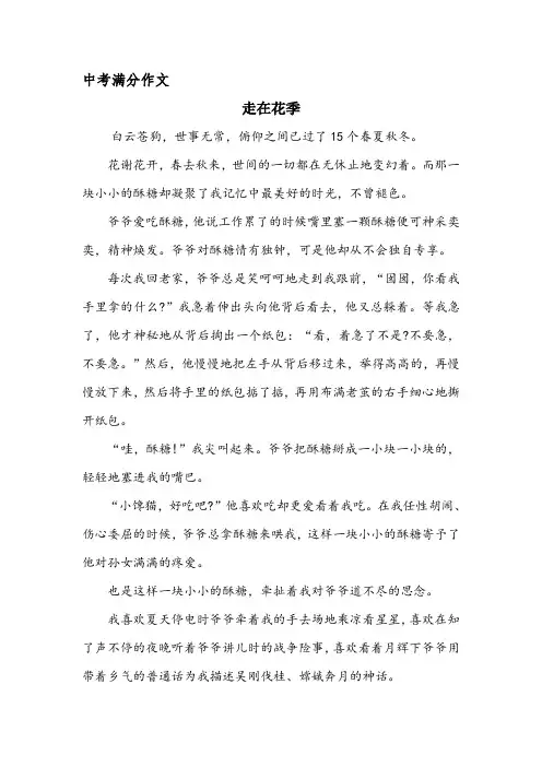 中考满分作文  走在花季
