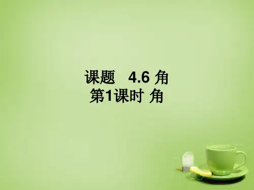 2022秋七年级数学上册 4.6.1 角课件 (新版)华东师大版