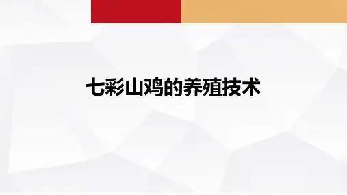 七彩山鸡的养殖技术课件(共29张PPT)《禽生产》