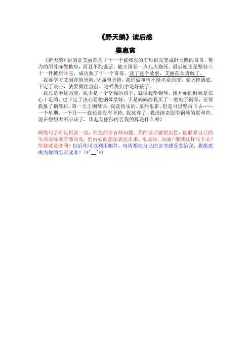 评野天鹅