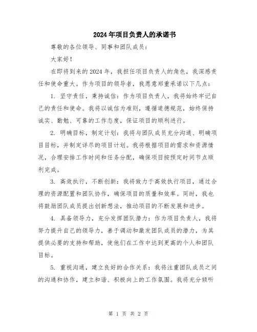 2024年项目负责人的承诺书