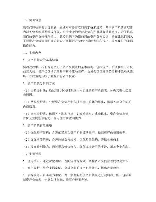 资产负债实训总结报告