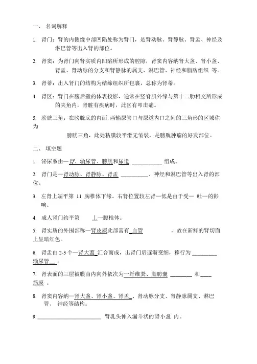 泌尿系统解剖学考试题及答案