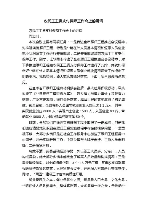 农民工工资支付保障工作会上的讲话