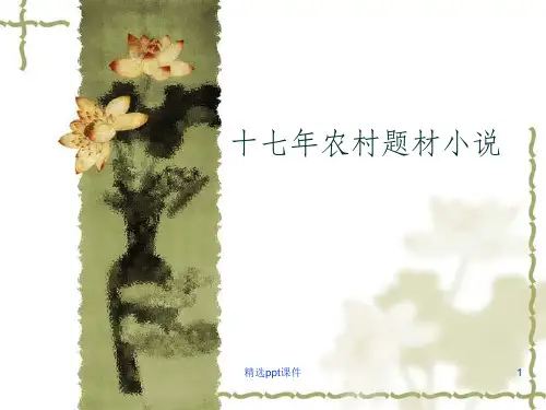 十七年农村小说