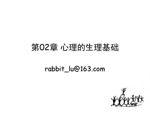 普通心理学第02章 心理的生理基础