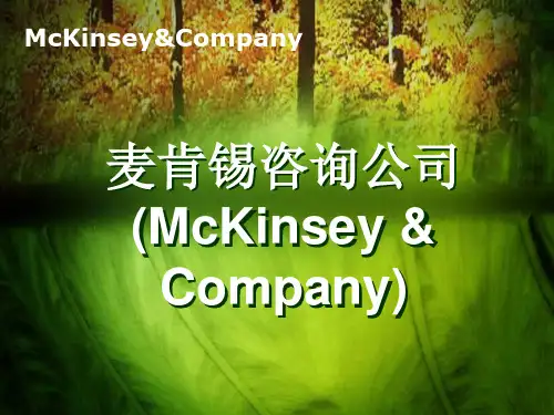 麦肯锡咨询公司