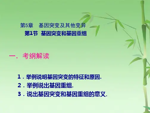 高三生物第一轮复习(共30张PPT)