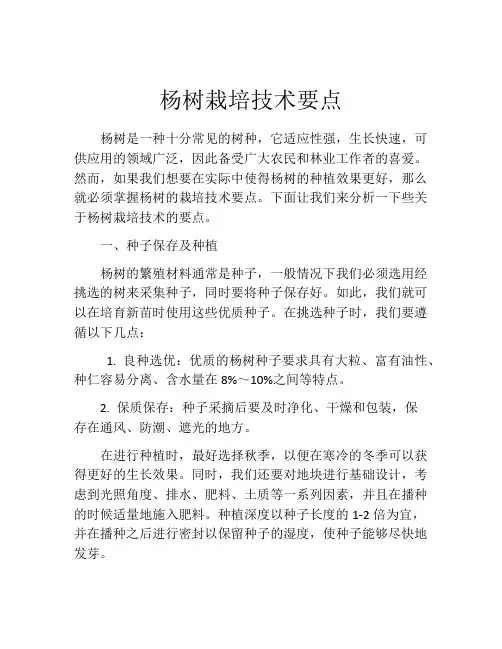 杨树栽培技术要点