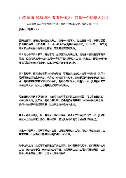 山东淄博2023年中考满分作文：我是一个稻草人(六)2篇