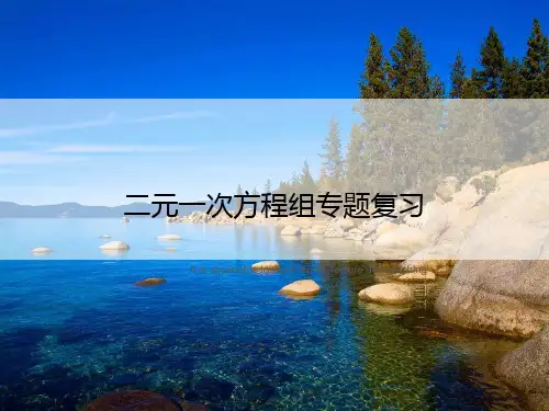 二元一次方程组专题复习