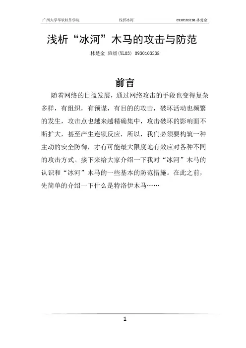 浅析冰河木马
