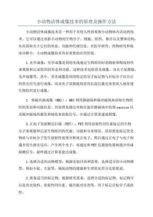 小动物活体成像技术的原理及操作方法