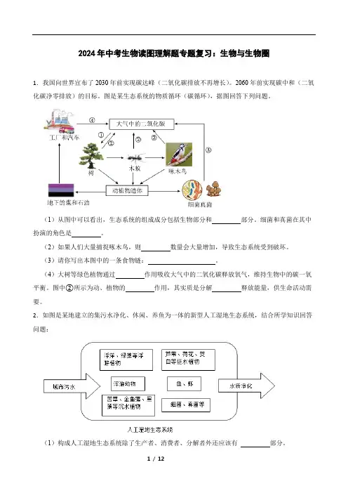 2024年中考生物读图理解题专题复习：生物与生物圈