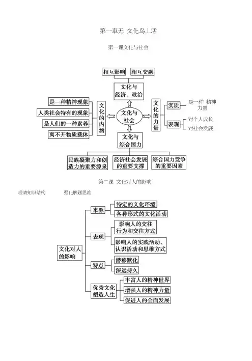 政治文化生活思维导图复习总结.docx