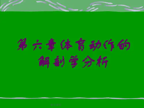 体育动作的解剖学分析最新版